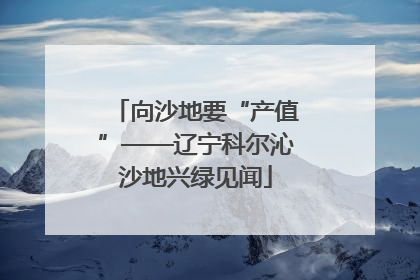 向沙地要“产值”——辽宁科尔沁沙地兴绿见闻